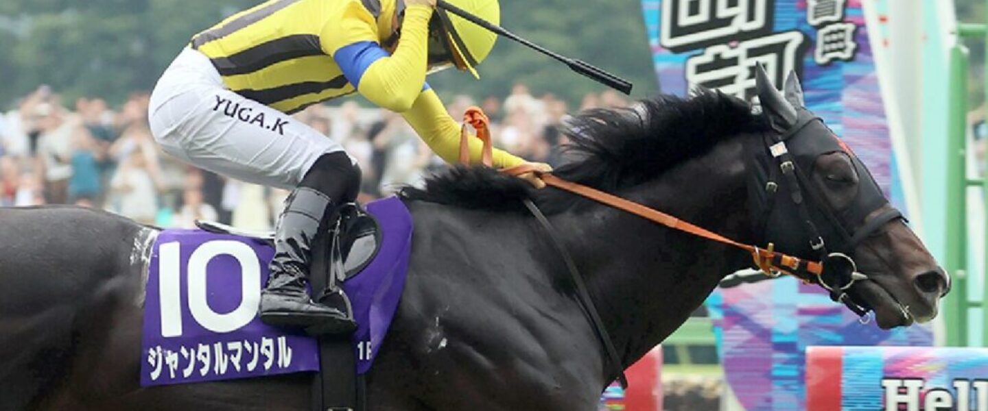 yasudakinen-tokyokeiba-2025-6-8