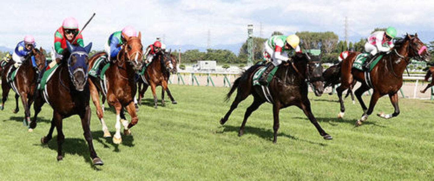 niigatakeiba-新潟競馬