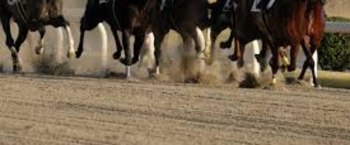 AdobeStock_303833408