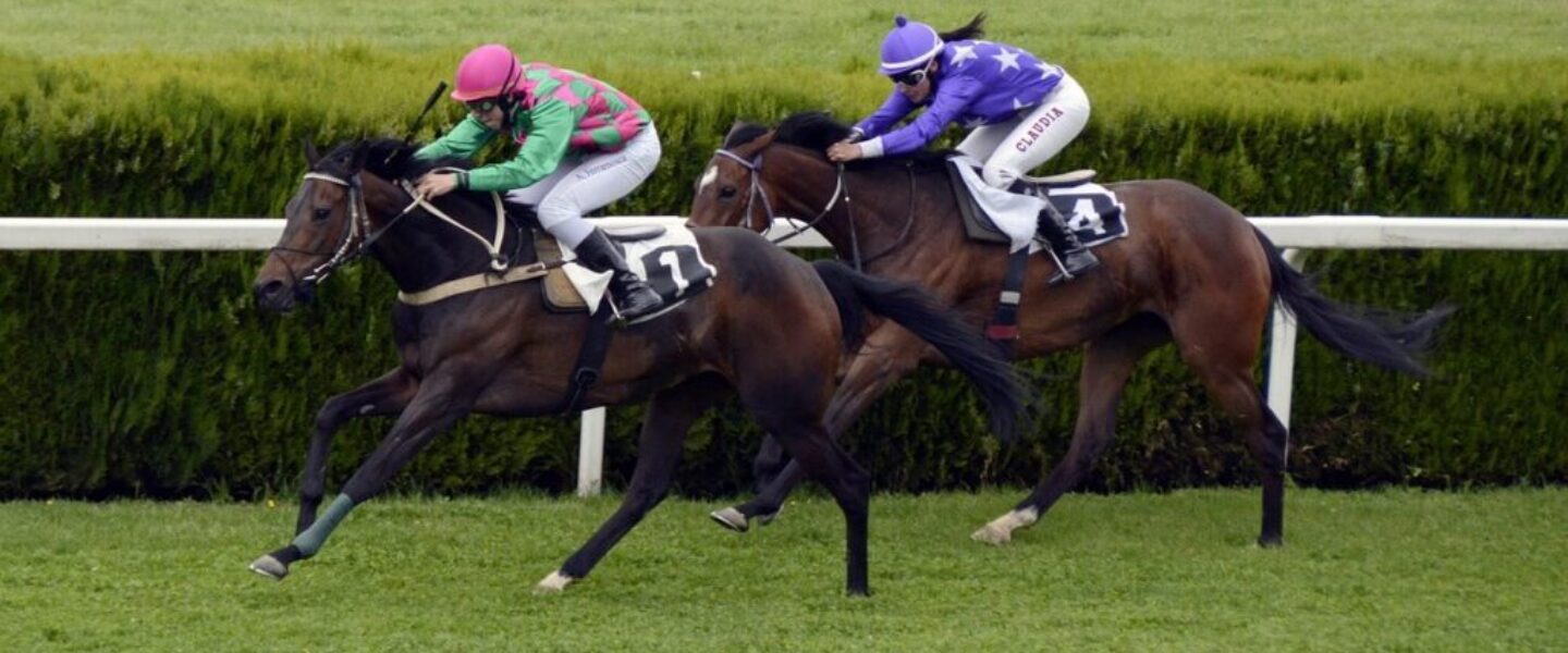 horse-racing-1577292_1280