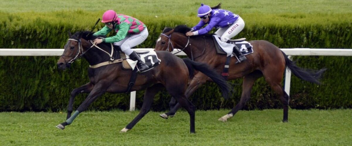 horse-racing-1577292_1280-2