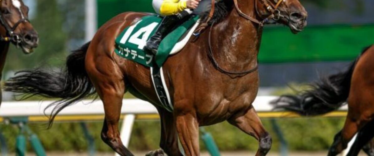 kanate-pu-カナテープ