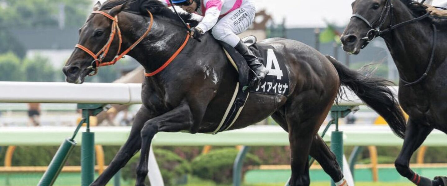 keiaisena ケイアイセナ