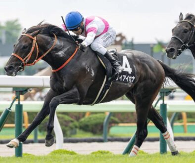 keiaisena ケイアイセナ