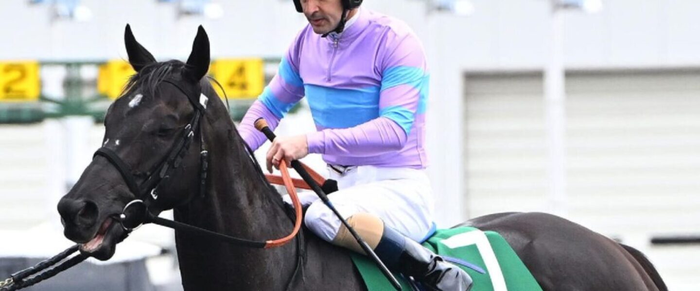 namurakurea-ナムラクレア