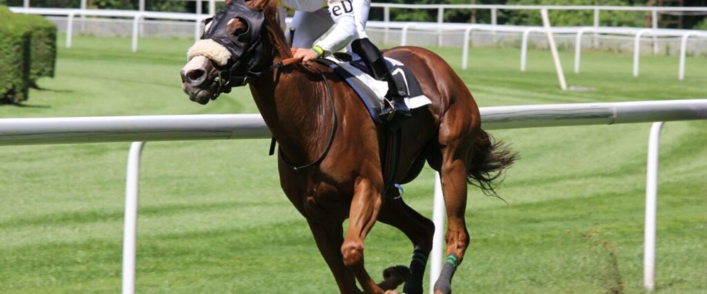 pexels-daniel-158976-scaled