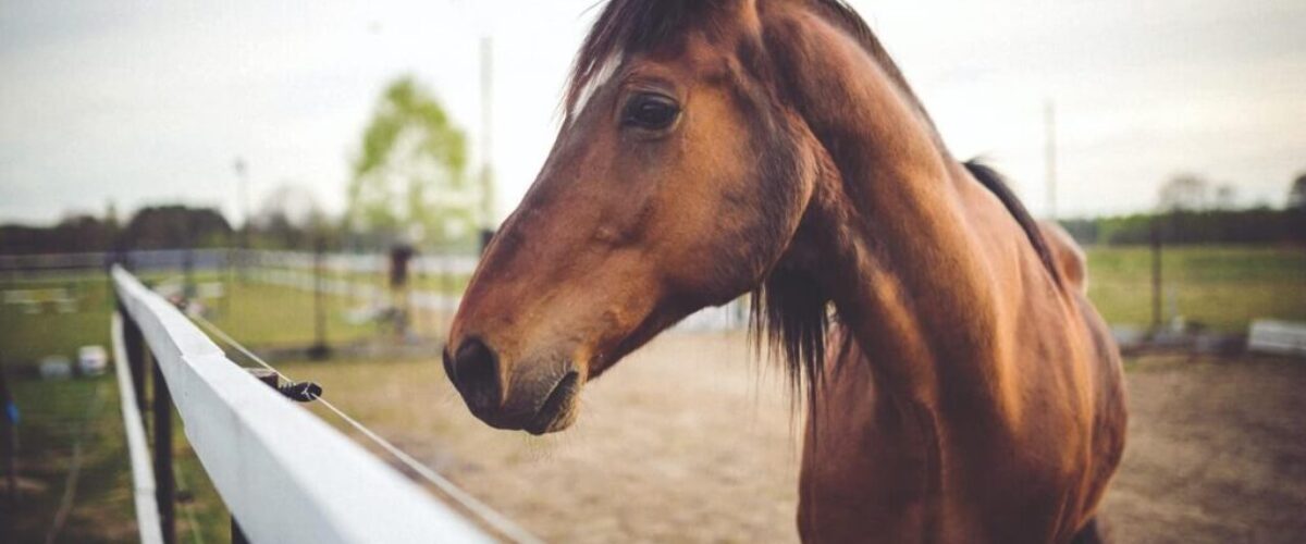 pexels-kaboompics-com-6468