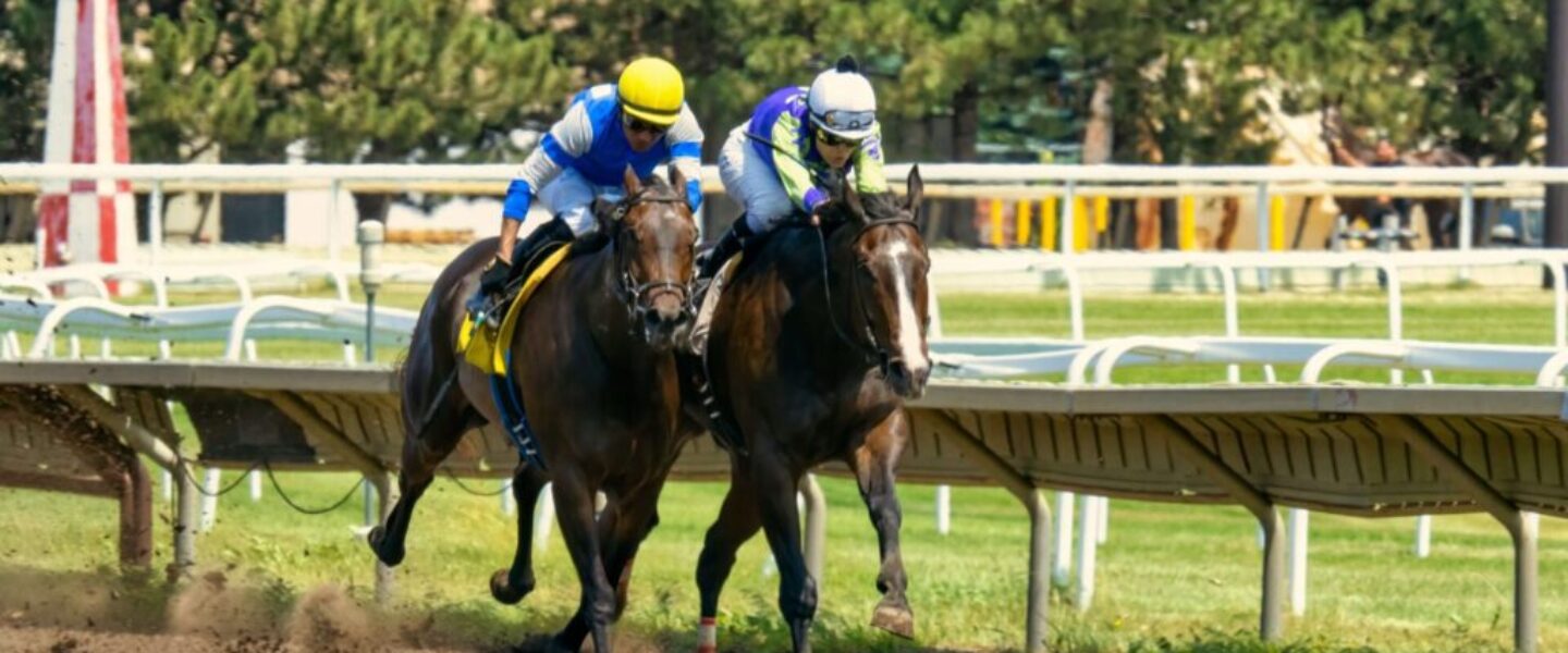 pexels-tom-fisk-13055808